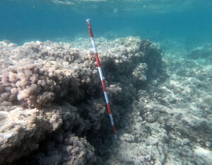 Santa Marinella, particolari sul porto etrusco di 2.300 anni fa scoperto da poco, davanti al Santuario di Minerva – Punta della Vipera